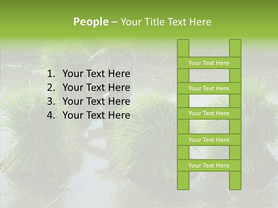 Countryside Scenery Tradition PowerPoint Template