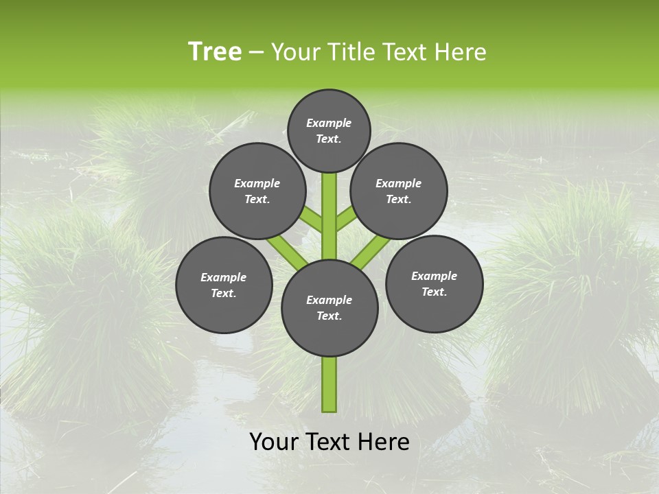 Countryside Scenery Tradition PowerPoint Template