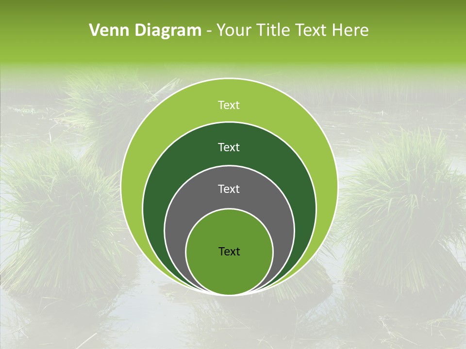 Countryside Scenery Tradition PowerPoint Template