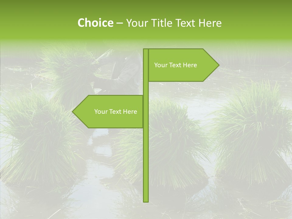 Countryside Scenery Tradition PowerPoint Template