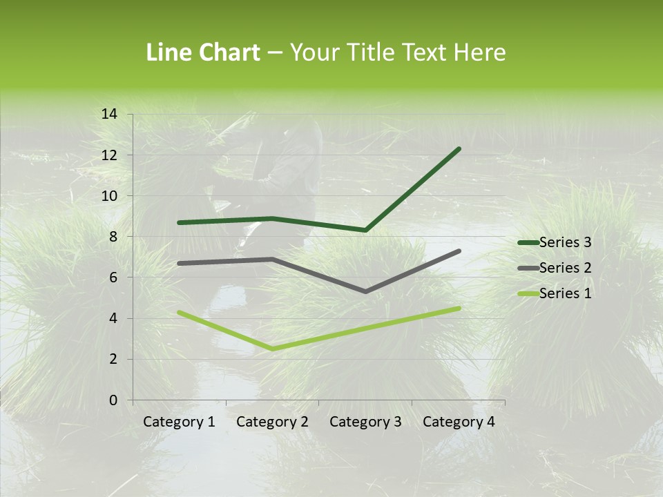 Countryside Scenery Tradition PowerPoint Template