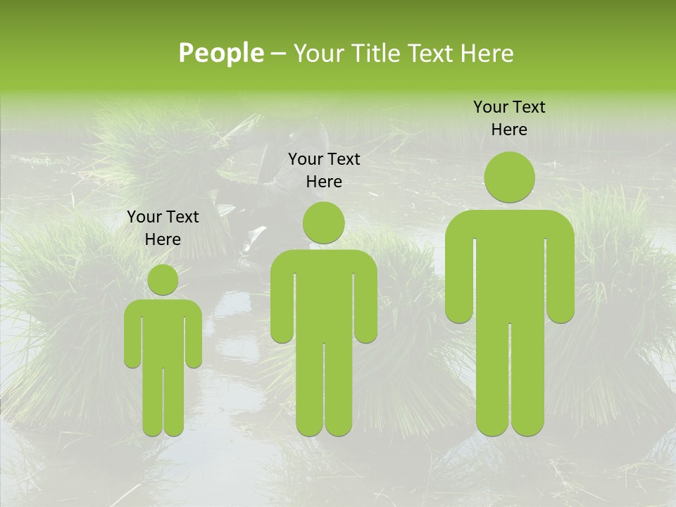 Countryside Scenery Tradition PowerPoint Template