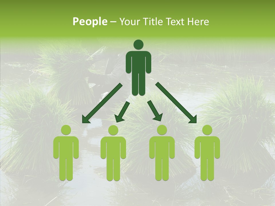 Countryside Scenery Tradition PowerPoint Template