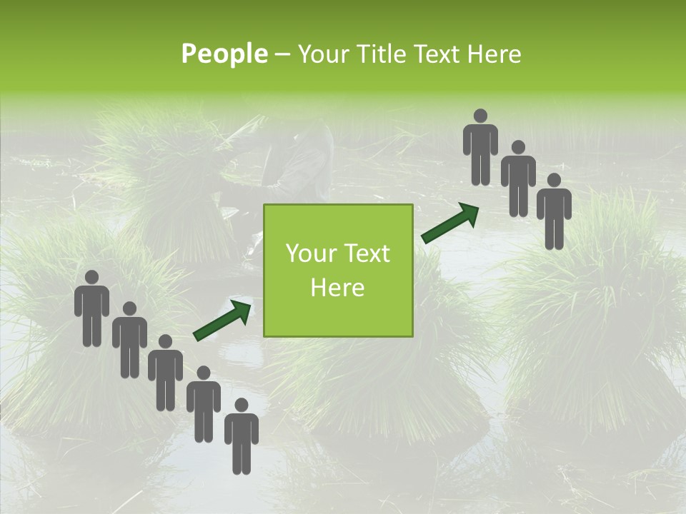 Countryside Scenery Tradition PowerPoint Template