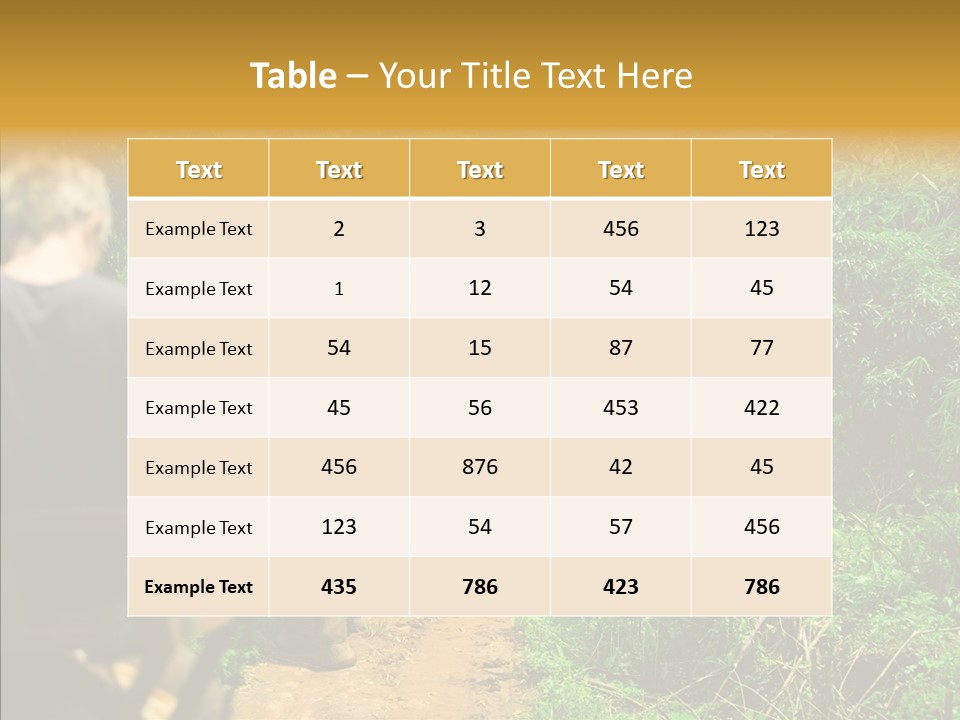 Destination Tourism Holiday PowerPoint Template