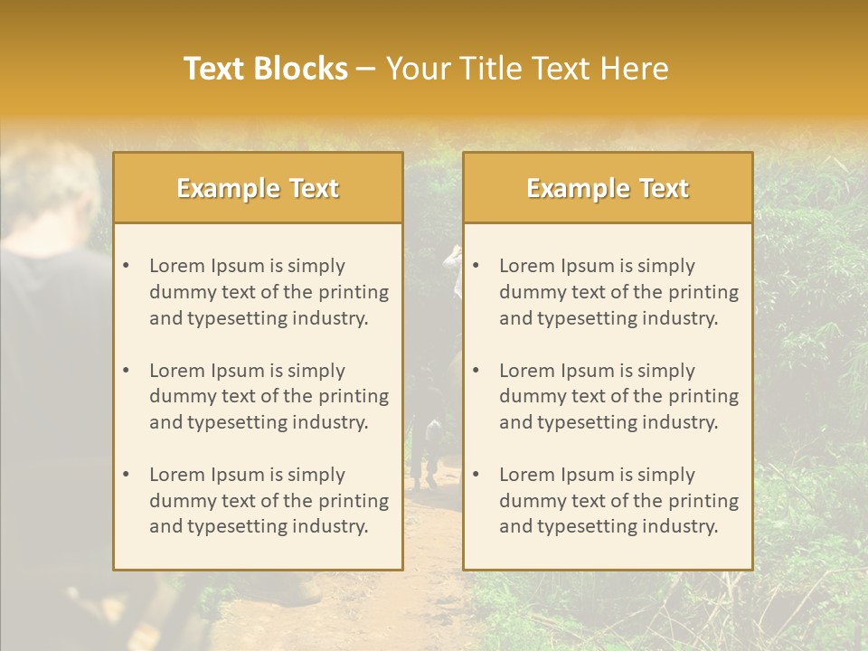 Destination Tourism Holiday PowerPoint Template