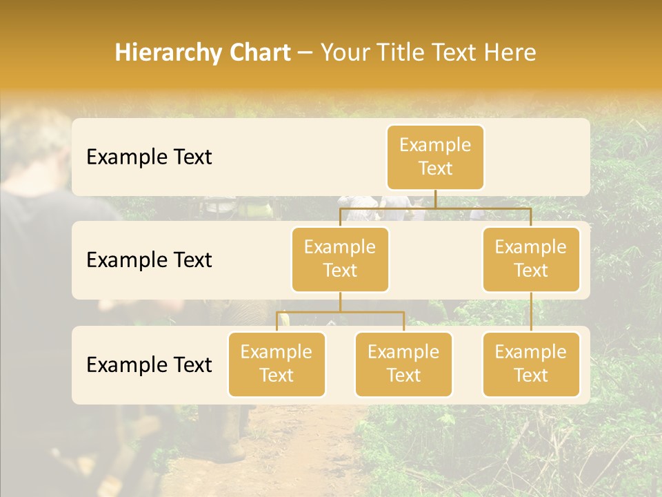 Destination Tourism Holiday PowerPoint Template