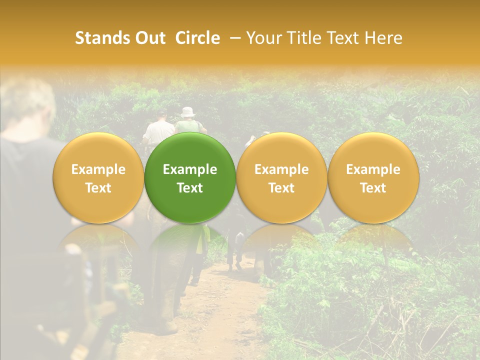 Destination Tourism Holiday PowerPoint Template