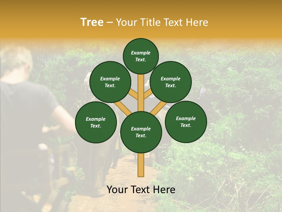 Destination Tourism Holiday PowerPoint Template