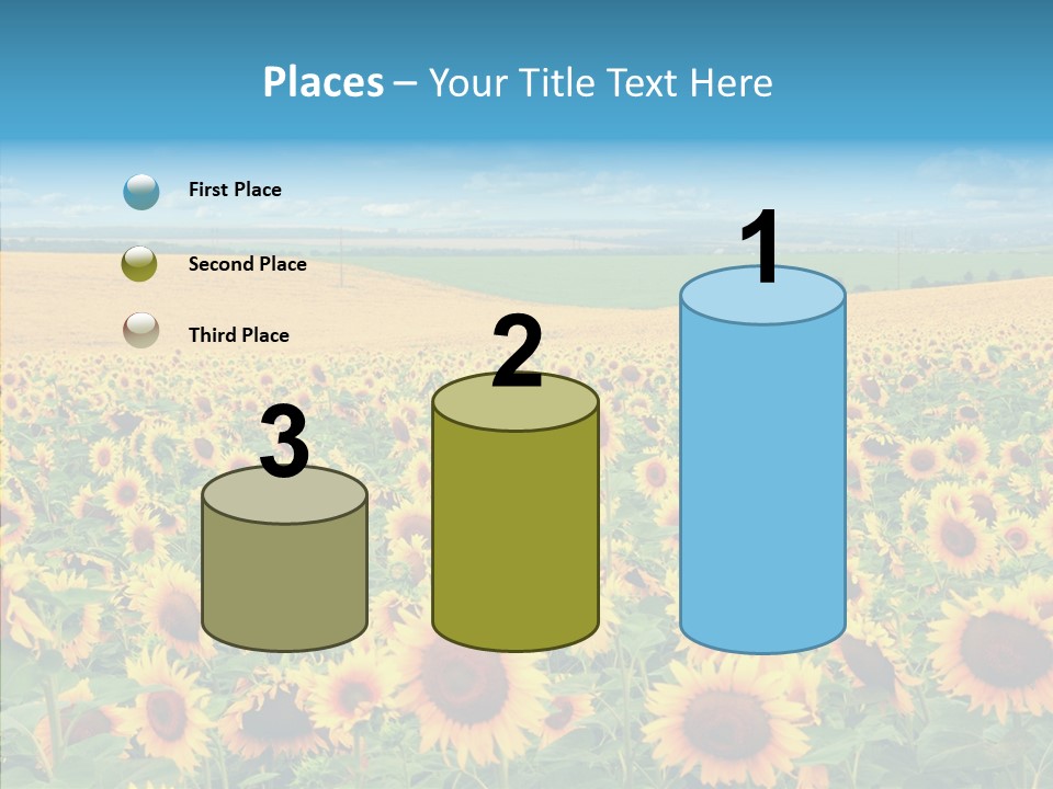Bright Field Perfection PowerPoint Template