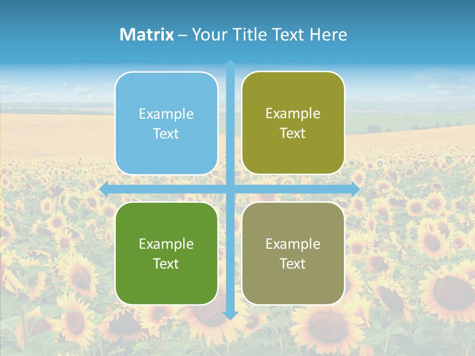 Bright Field Perfection PowerPoint Template