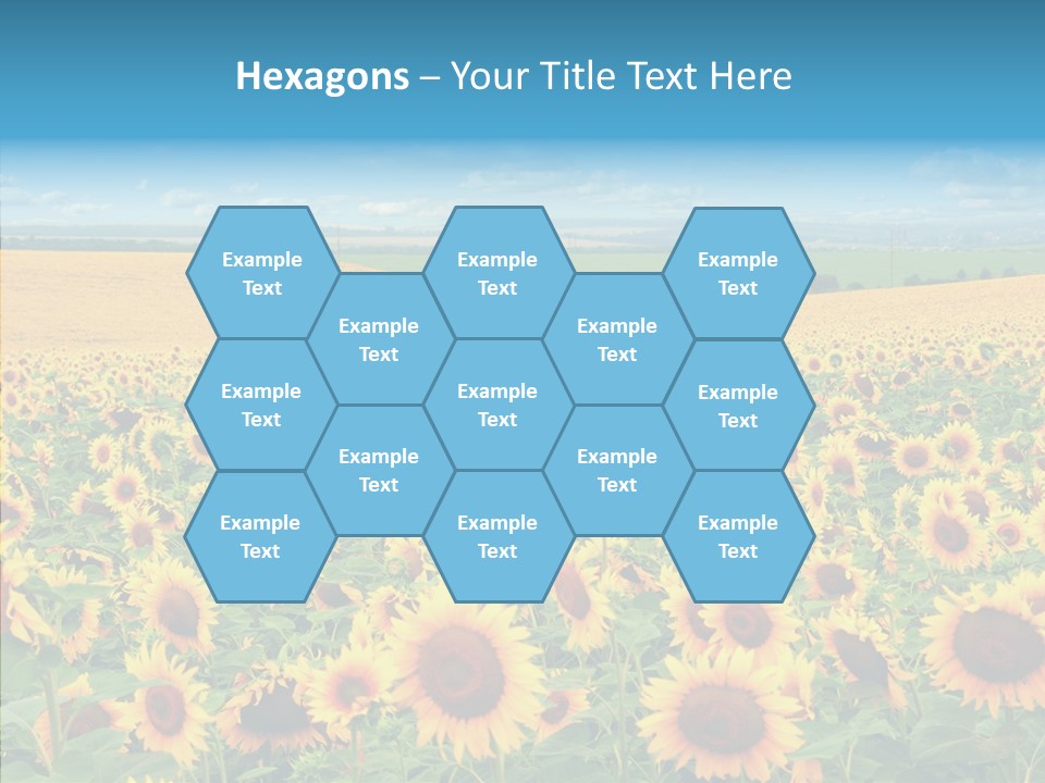 Bright Field Perfection PowerPoint Template