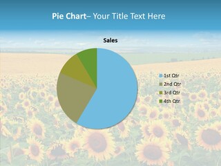 Bright Field Perfection PowerPoint Template