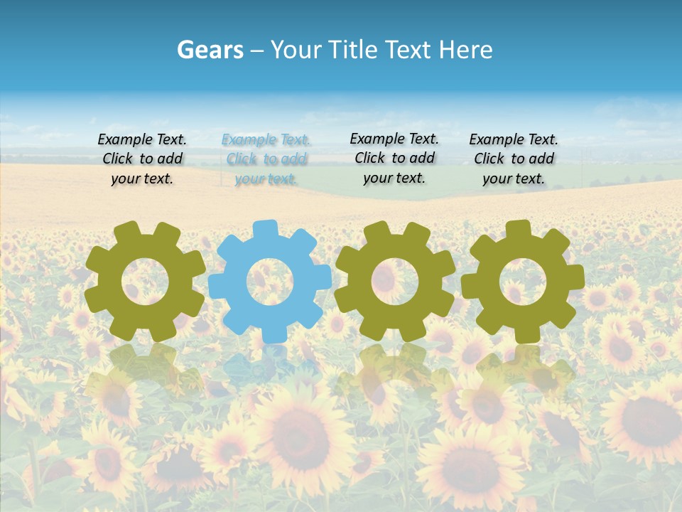 Bright Field Perfection PowerPoint Template