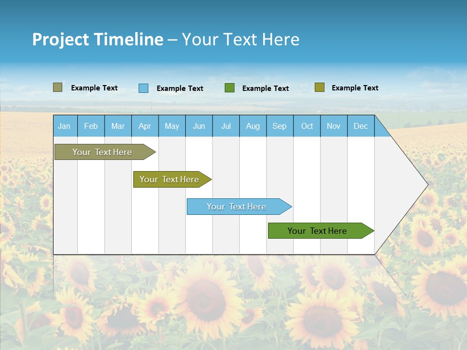 Bright Field Perfection PowerPoint Template