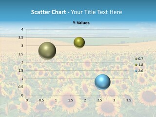 Bright Field Perfection PowerPoint Template