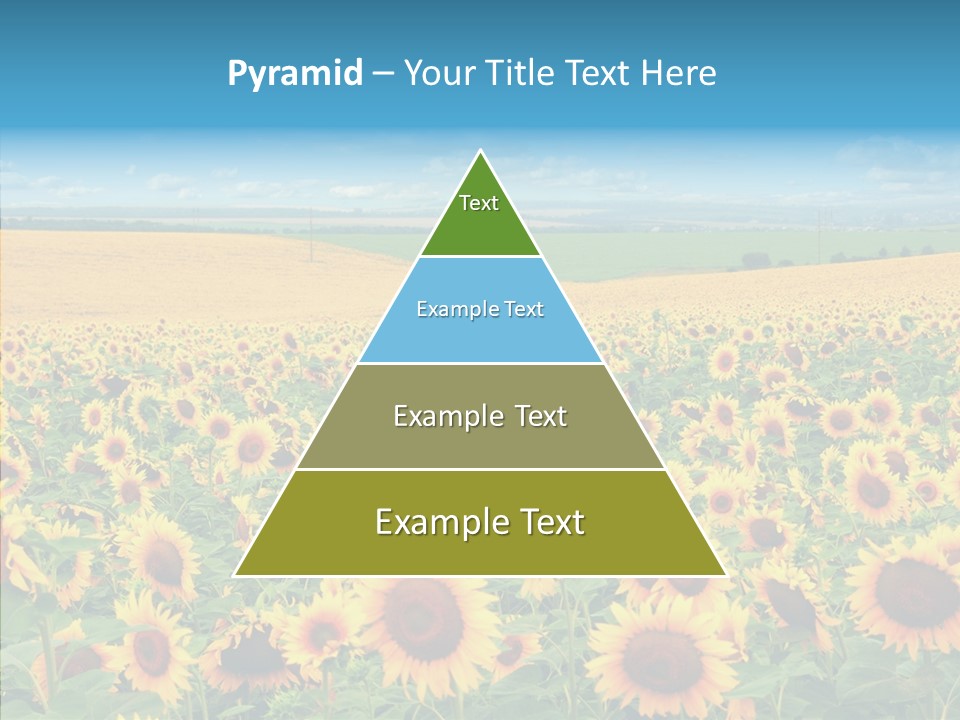 Bright Field Perfection PowerPoint Template