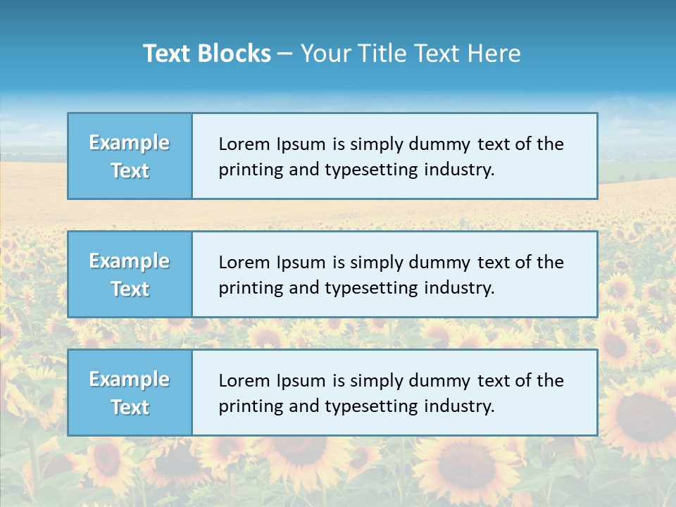 Bright Field Perfection PowerPoint Template