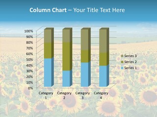 Bright Field Perfection PowerPoint Template