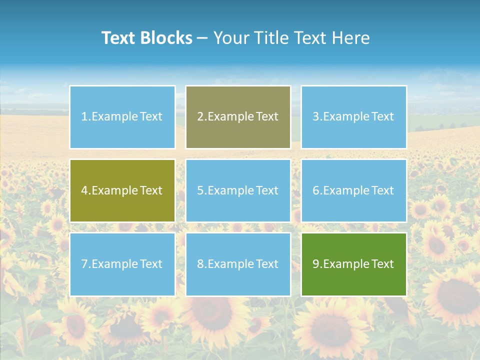 Bright Field Perfection PowerPoint Template