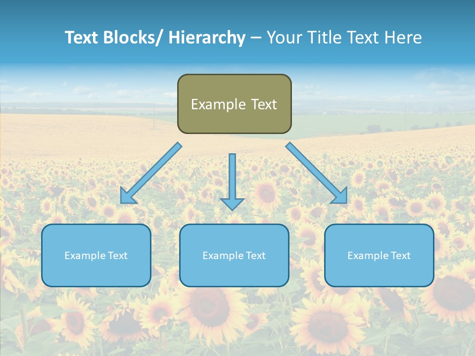 Bright Field Perfection PowerPoint Template