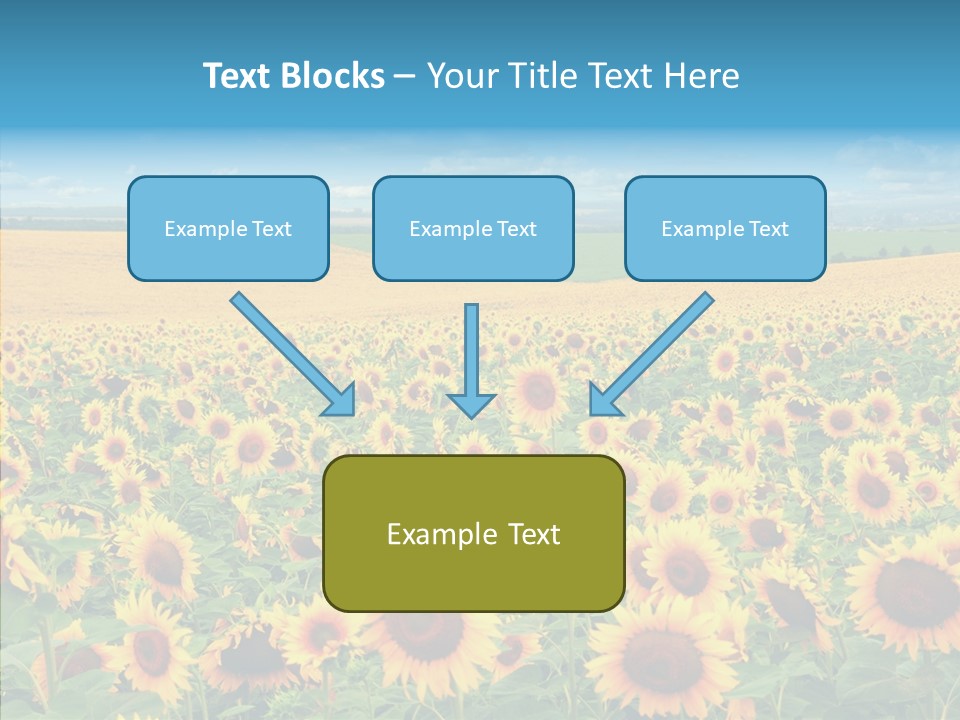Bright Field Perfection PowerPoint Template