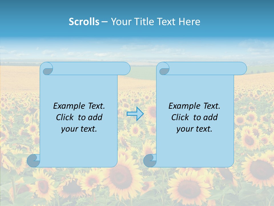 Bright Field Perfection PowerPoint Template