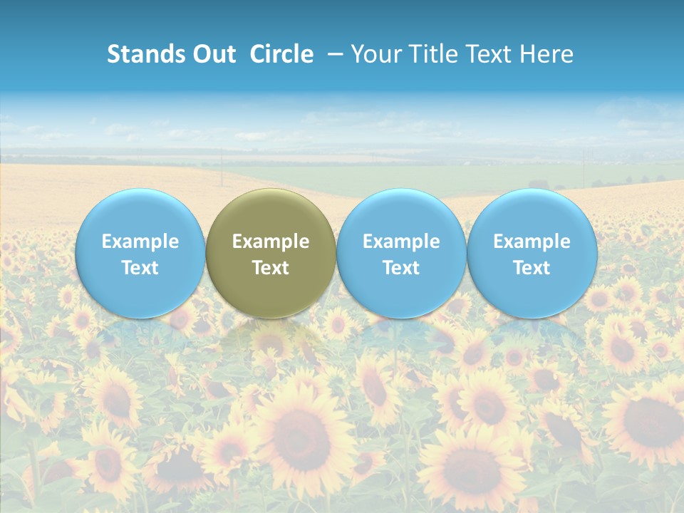 Bright Field Perfection PowerPoint Template
