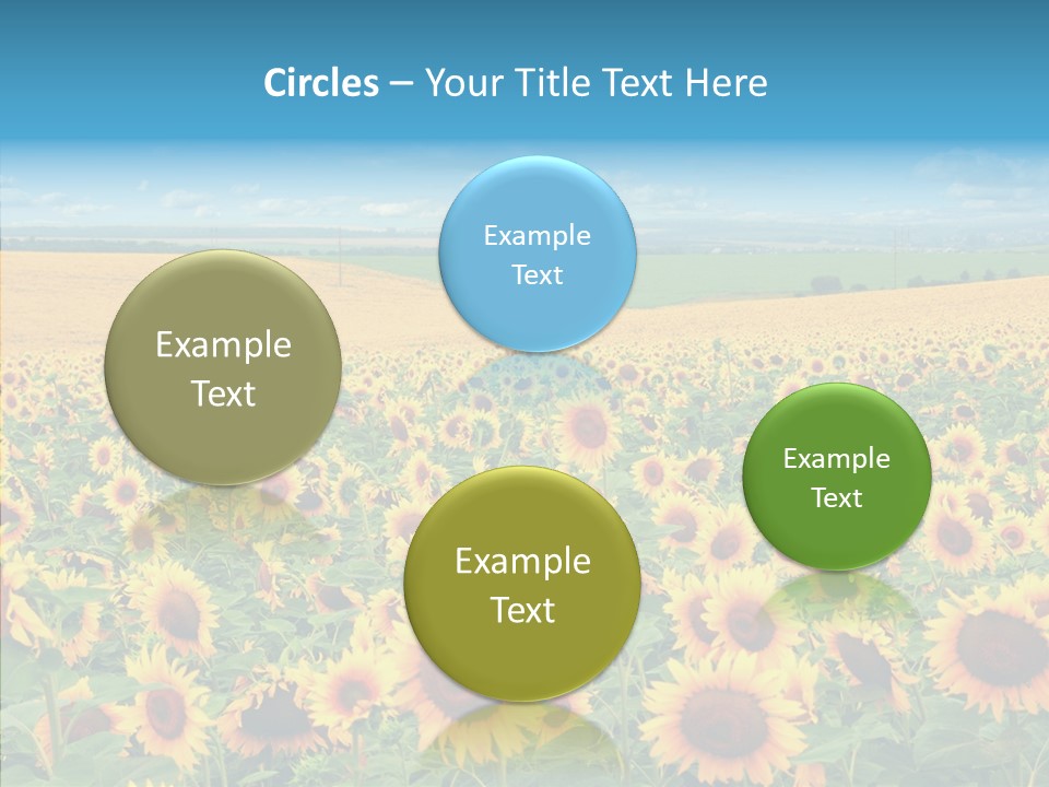 Bright Field Perfection PowerPoint Template