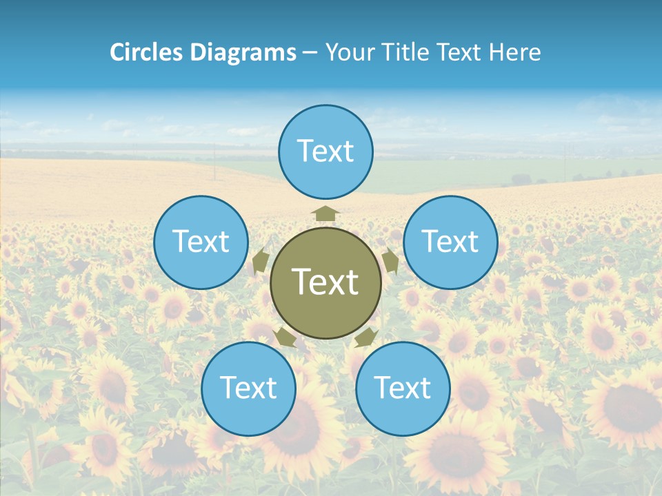 Bright Field Perfection PowerPoint Template