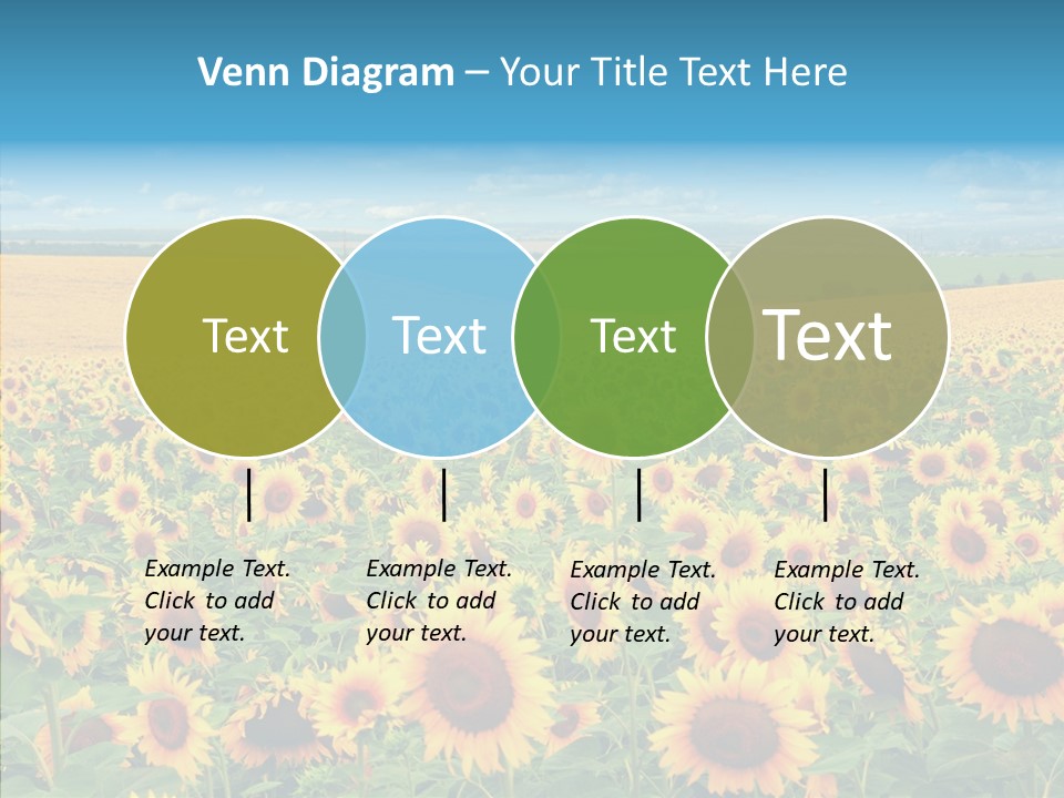 Bright Field Perfection PowerPoint Template