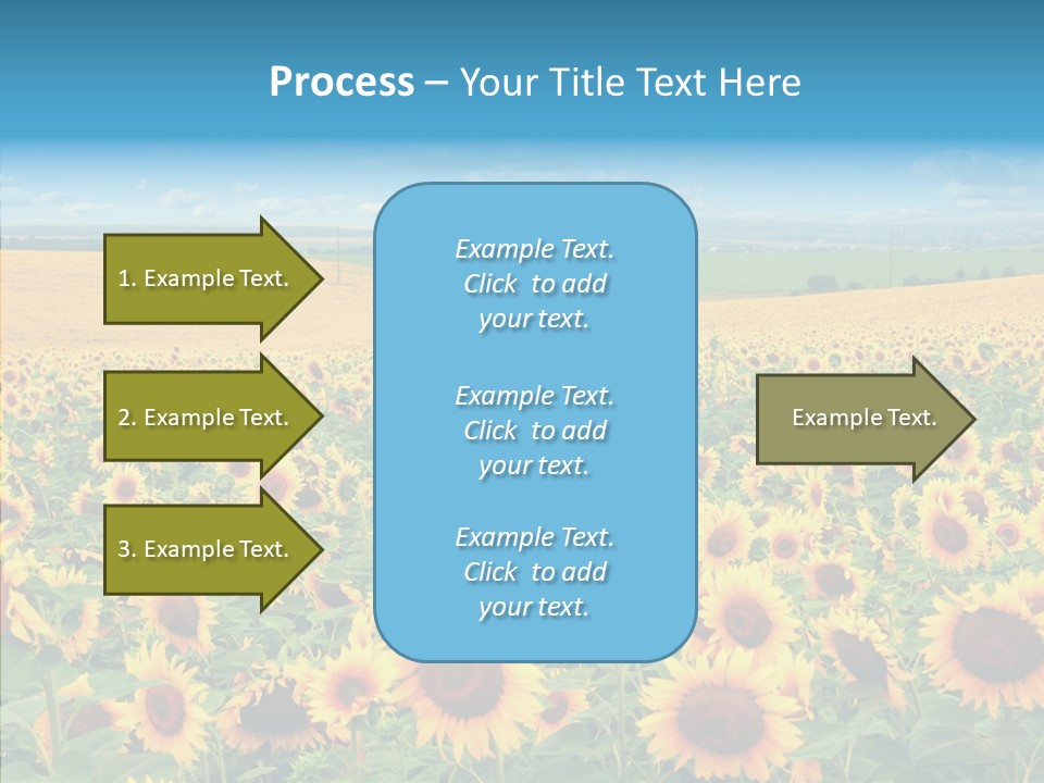 Bright Field Perfection PowerPoint Template