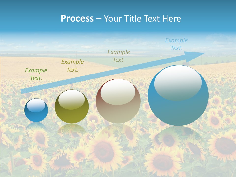 Bright Field Perfection PowerPoint Template