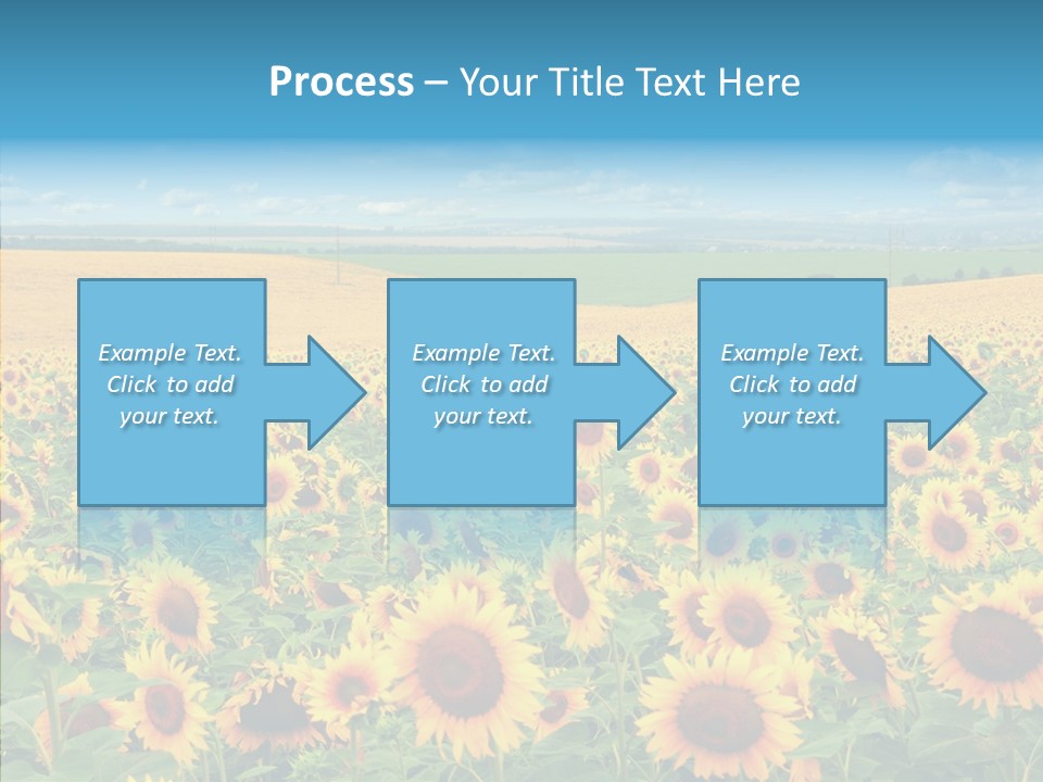 Bright Field Perfection PowerPoint Template
