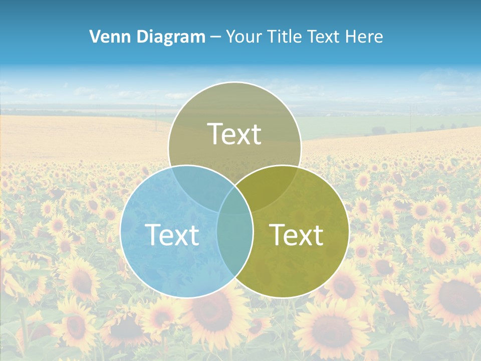 Bright Field Perfection PowerPoint Template