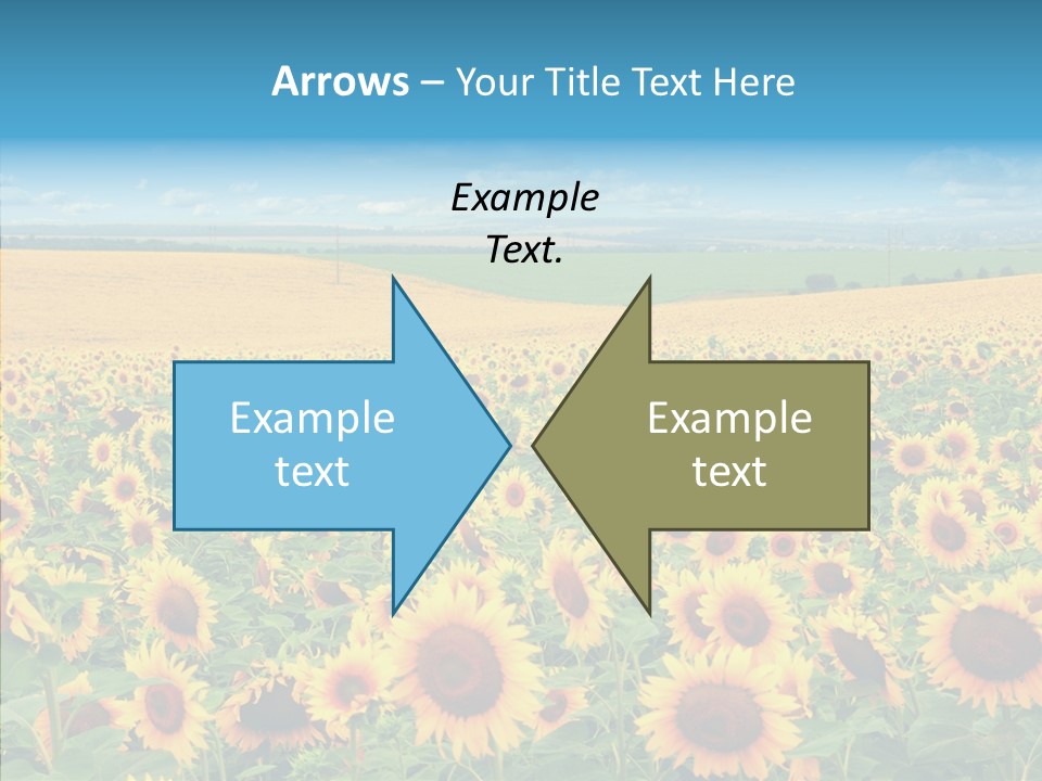 Bright Field Perfection PowerPoint Template