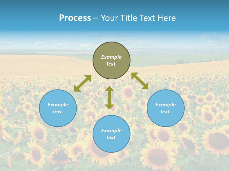 Bright Field Perfection PowerPoint Template