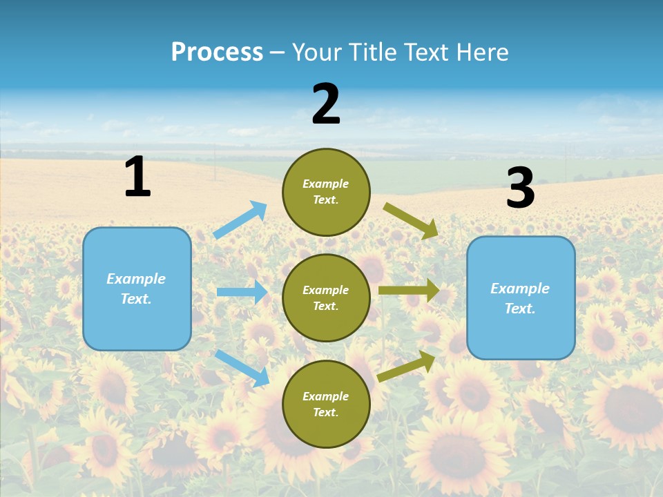 Bright Field Perfection PowerPoint Template