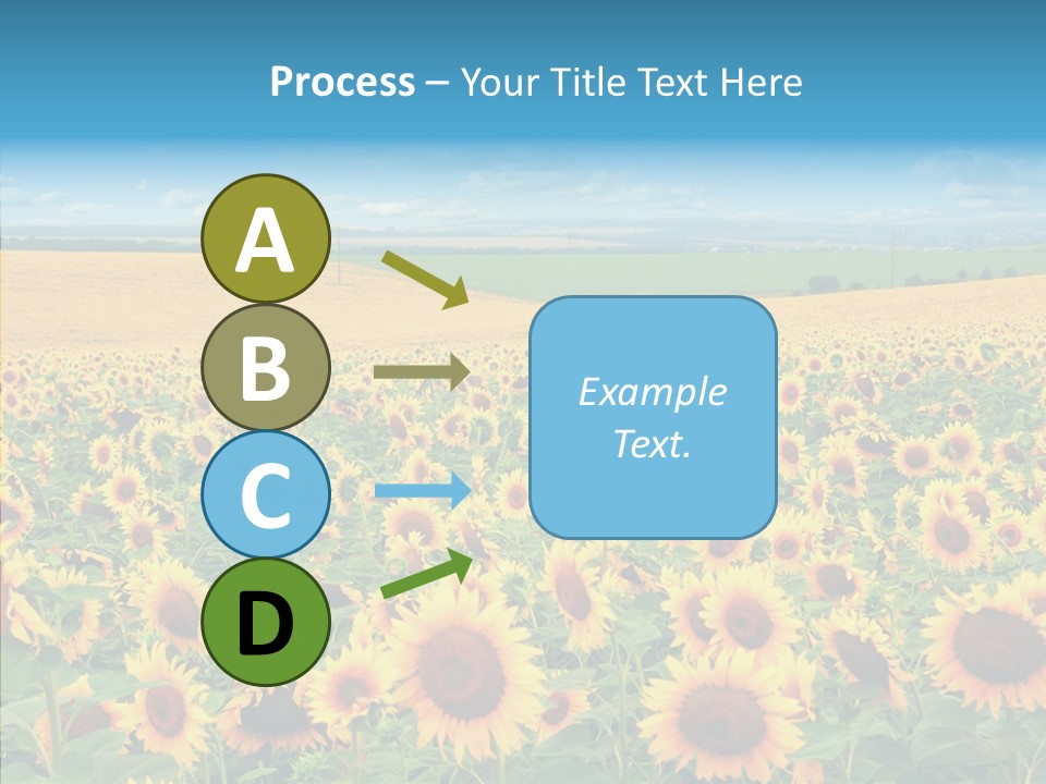Bright Field Perfection PowerPoint Template