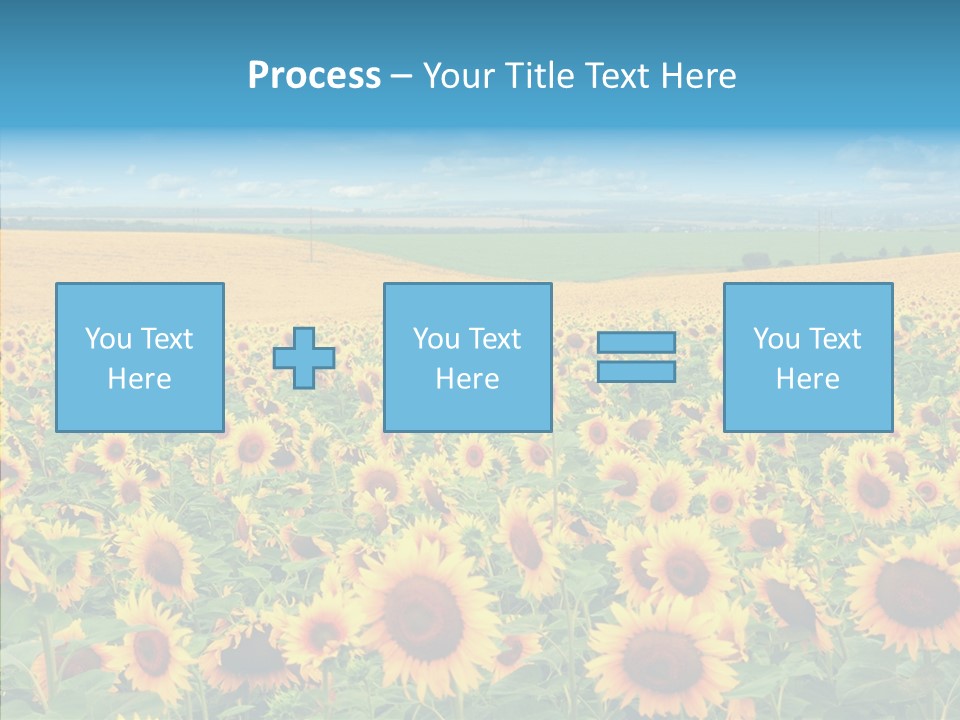 Bright Field Perfection PowerPoint Template