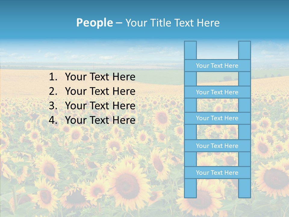 Bright Field Perfection PowerPoint Template
