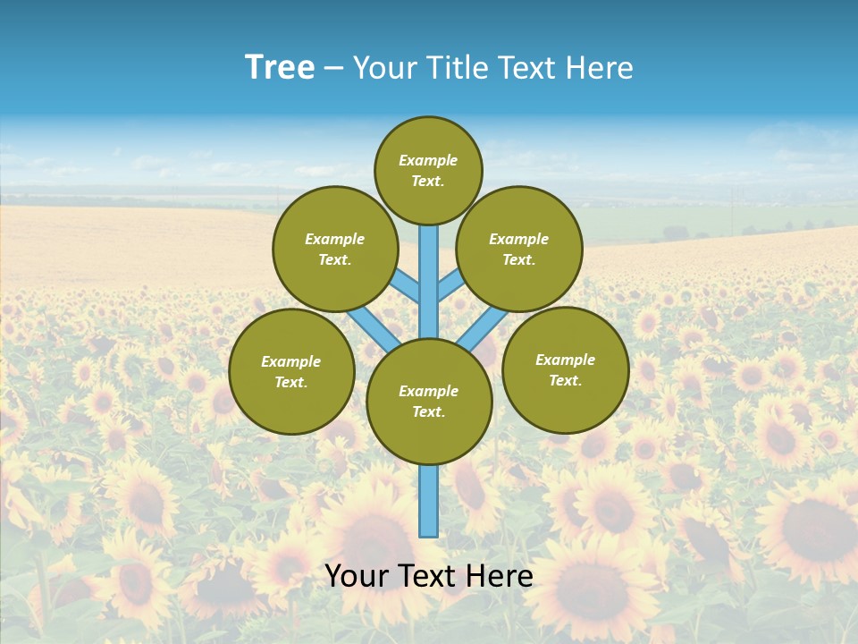 Bright Field Perfection PowerPoint Template