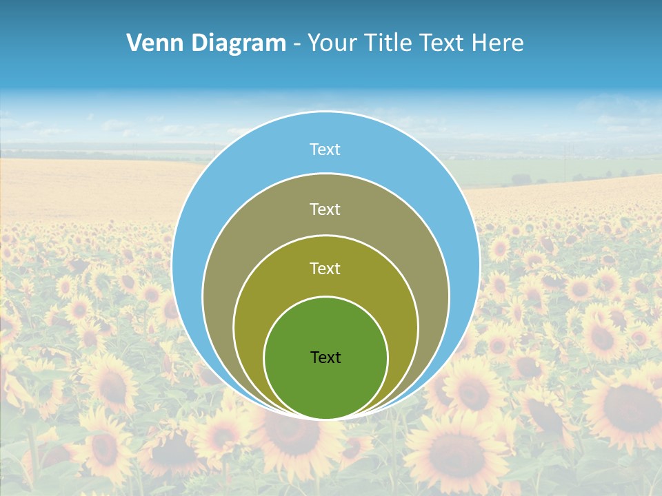 Bright Field Perfection PowerPoint Template