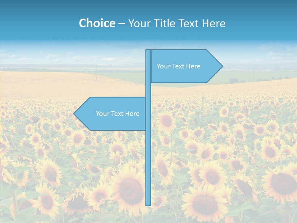 Bright Field Perfection PowerPoint Template