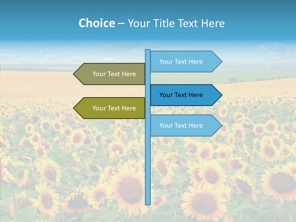 Bright Field Perfection PowerPoint Template