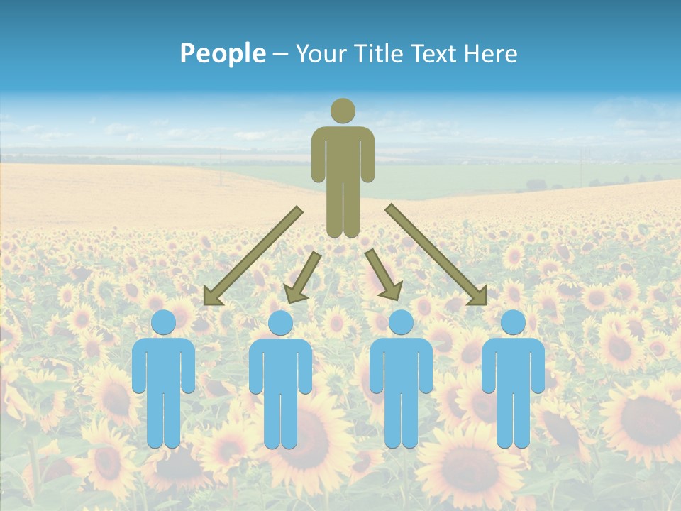 Bright Field Perfection PowerPoint Template