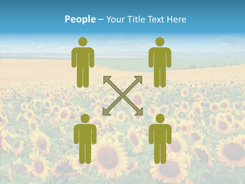 Bright Field Perfection PowerPoint Template