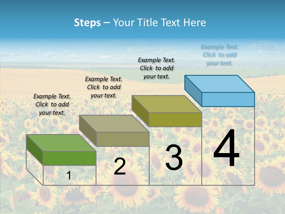 Bright Field Perfection PowerPoint Template