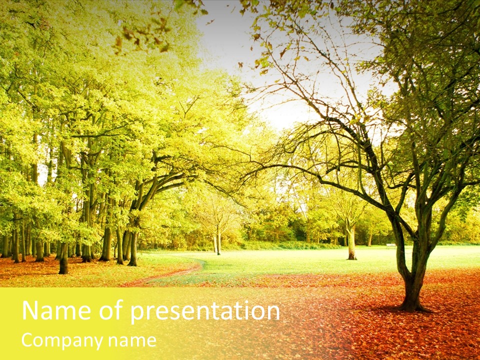 Outdoor Tree Park PowerPoint Template