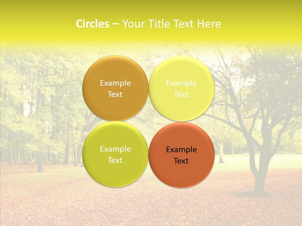 Outdoor Tree Park PowerPoint Template